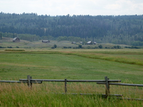 GDMBR: Hatchet Ranch Pasture.